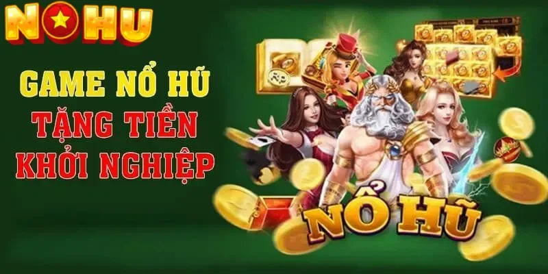 Lý do nên lựa chọn NOHU để tham gia cá cược